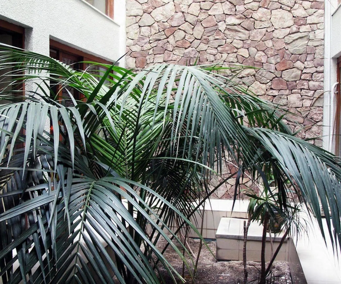 El Greco Hotel Ираклион 2*,  Греция